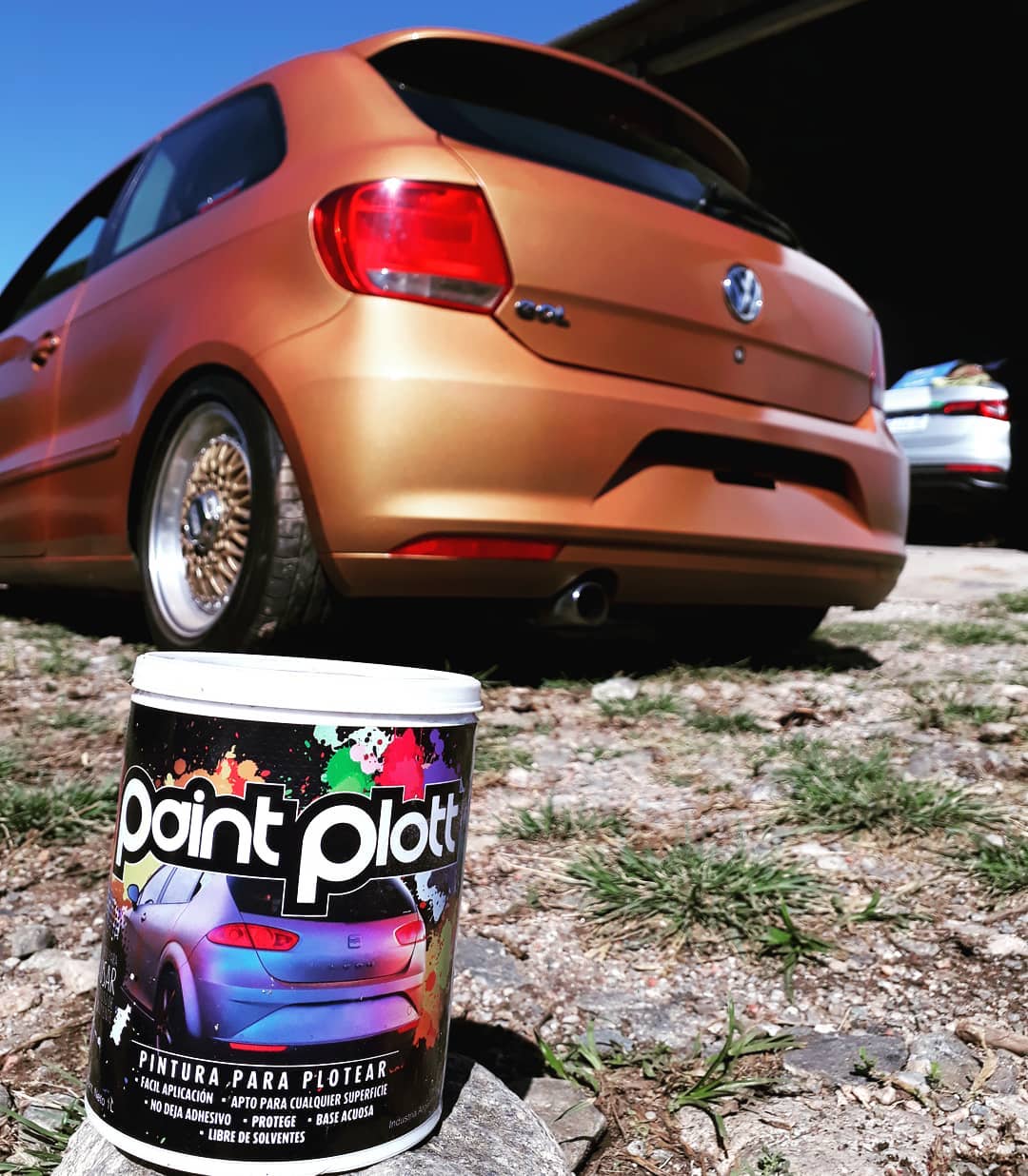 Auto pintado con pintura PaintPlott